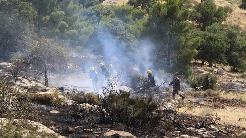 الدفاع المدني يخمد حريق أعشاب جافة بمنطقة بيرين